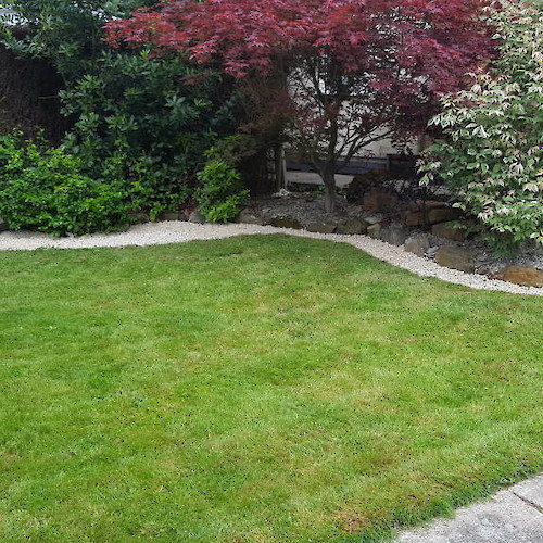 Peter's Gardening and Fencing Service Gardening