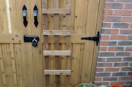 Trellis Fencing 4