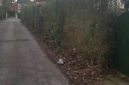 Fencing Nottingham Mobile Uploads 9