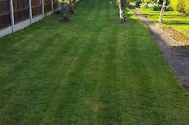 Fencing Nottingham Timeline 43